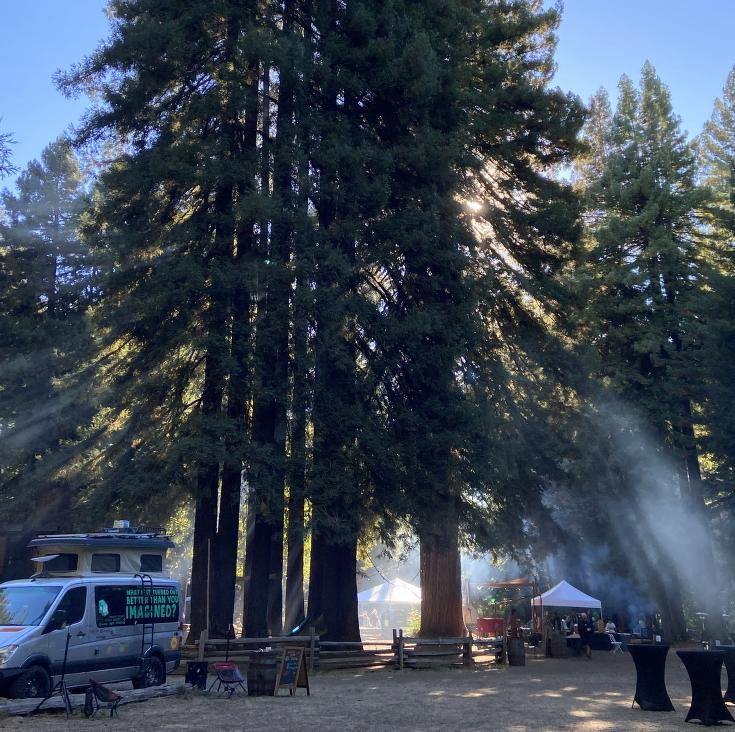 light streaming through trees at Camp Navarro with a van parked in foreground.