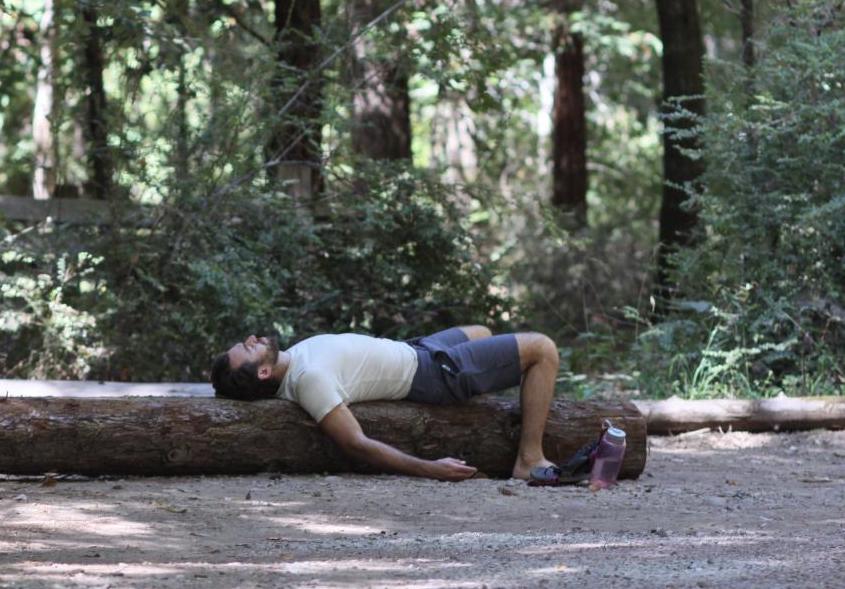 man in shorts and tshirt lies with his eyes closed on a log, with redwoods all around him.