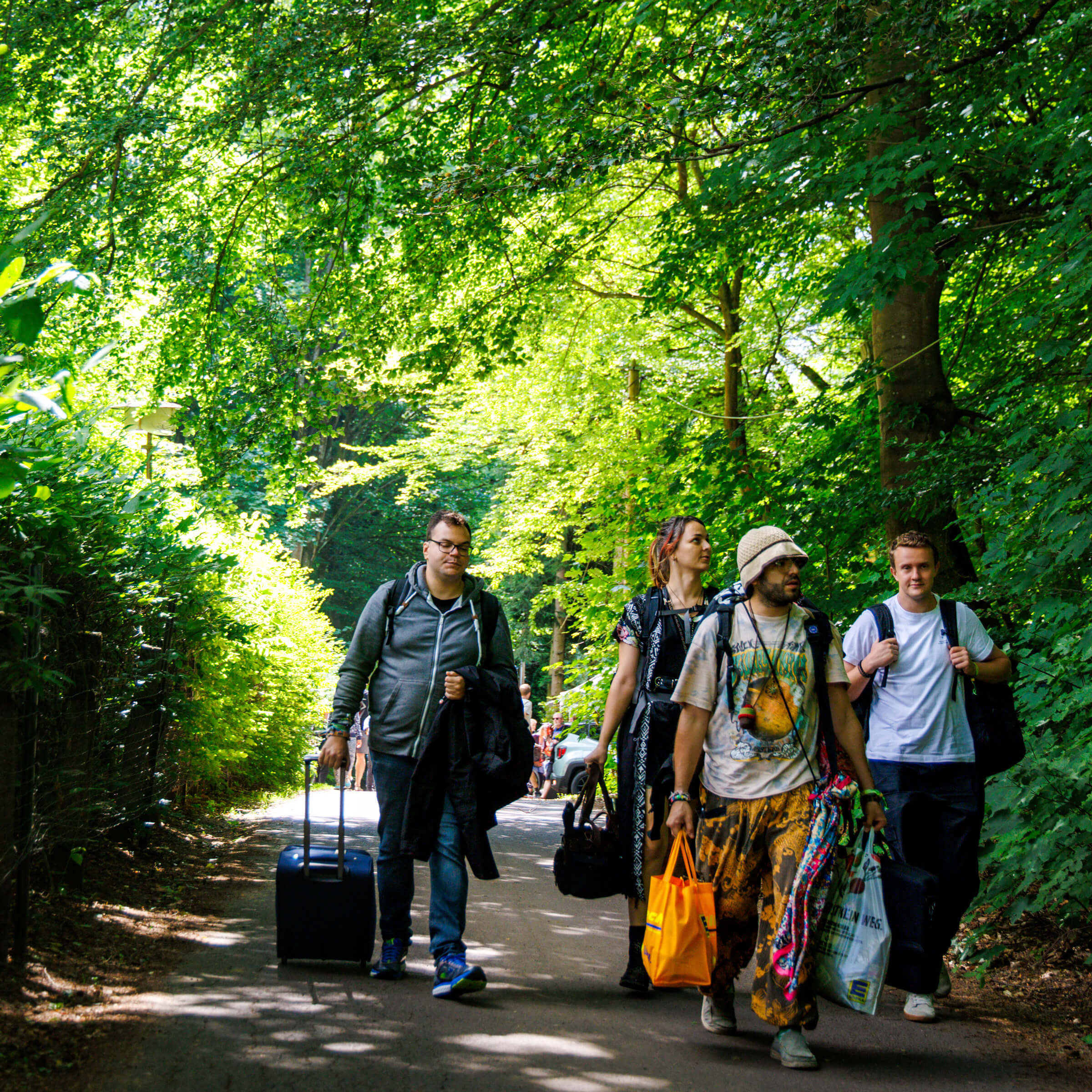 Walking through the tree lined lane to shuttle buses.