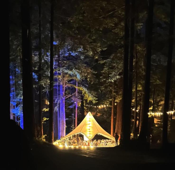 Tea Tent at Night